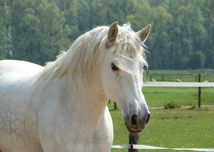 Casa Tranquila Bed & Breakfast Ooij