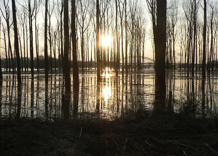 Bed & Breakfast Casa Tranquila