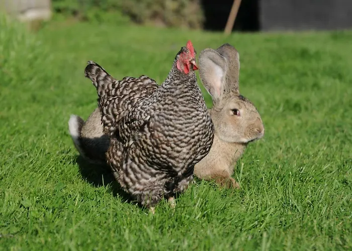 Casa Tranquila Bed & Breakfast