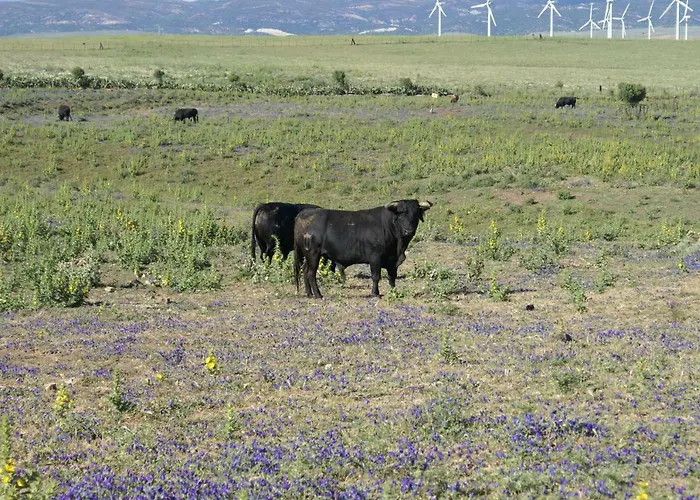 Bed & Breakfast Casa Tranquila