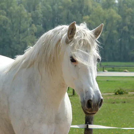 Casa Tranquila Bed & Breakfast Ooij