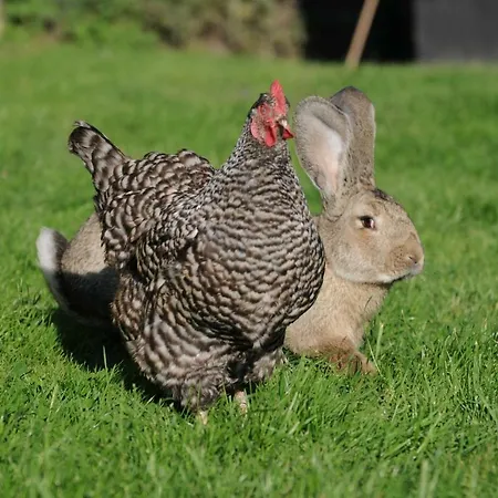 Casa Tranquila Bed & Breakfast