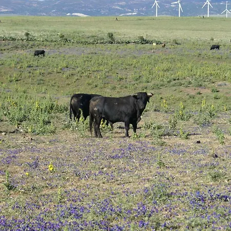 Bed & Breakfast Casa Tranquila